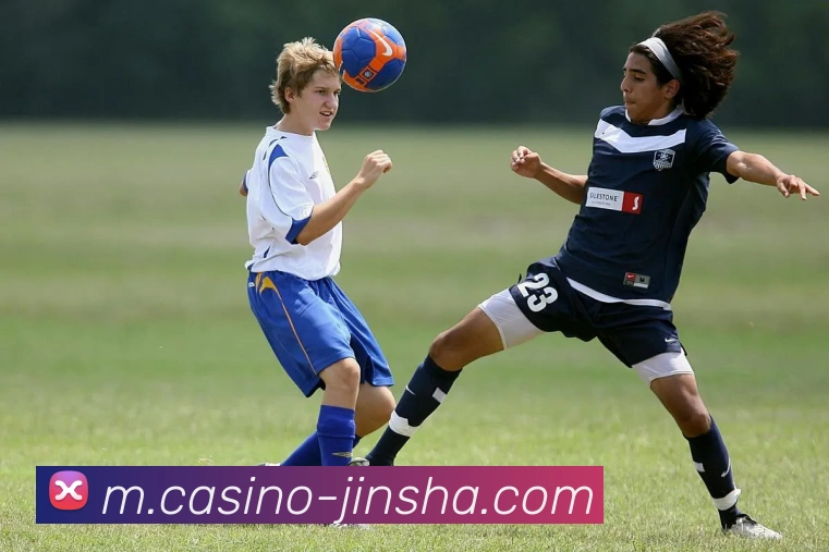 多媒体互动体验